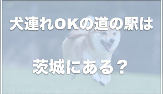 【道の駅】犬連れで楽しめる茨城の道の駅はココ！ドッグランのある道の駅も調査！