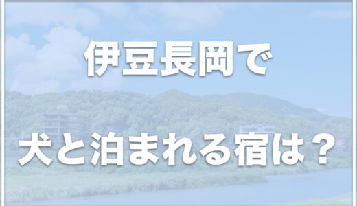 伊豆長岡で犬と泊まれる宿は？小松家八の坊を利用した人の口コミも調査！