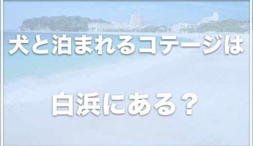 白浜の犬と泊まれるコテージはココ！それぞれのコテージの特徴も紹介！