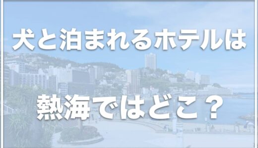 犬と泊まれるホテルは熱海ではココ！犬と泊まれる高級宿も紹介！