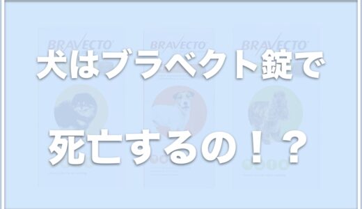 ブラベクト錠は死亡することがある？通販の最安値や値段・犬への飲ませ方も調査！