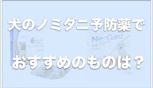 犬のノミダニ予防薬でおすすめは何？食べるタイプやそれぞれの値段を調査！