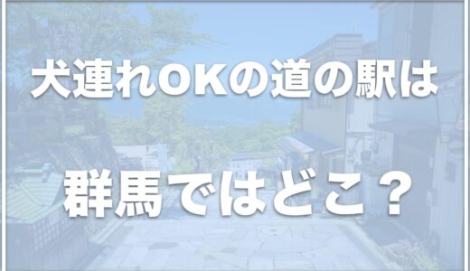 【道の駅】犬連れで楽しめる群馬の道の駅はココ！ドッグランのある道の駅も調査！