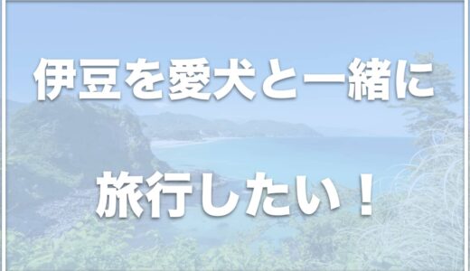 伊豆の犬連れモデルコースはこちら！ランチや体験も愛犬と一緒に楽しもう