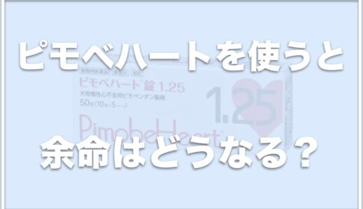 ピモベハートを使うと余命はどれくらい？やめることはできる？副作用があるかについても調査！