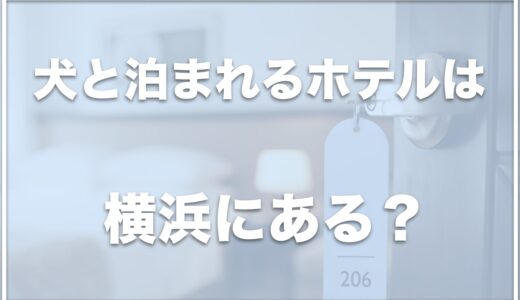 横浜で犬と泊まれるホテルはココ！みなとみらいで犬と泊まれるホテルも紹介！