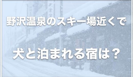 野沢温泉のスキー場近くで犬と泊まれる宿はココ！食事が美味しい宿も紹介