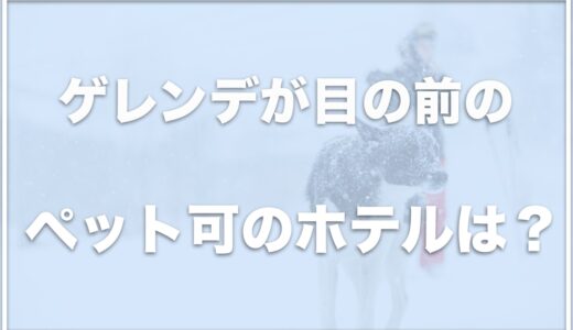 ゲレンデ目の前のペット可のホテルは関東ではココ！スキー場直結のホテルでペット可の場所も紹介！