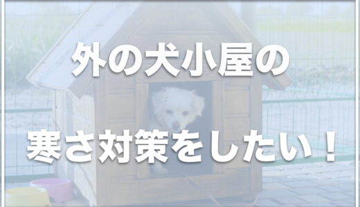 外の犬小屋を暖かくする方法は？犬を外飼いしてる場合の寒さ対策をチェック！