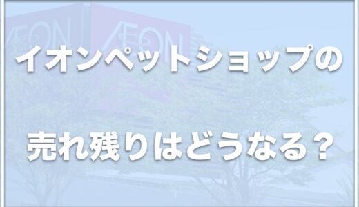 イオンペットショップの売れ残りはどうなる？譲渡会で里親探しの取り組みについても紹介！