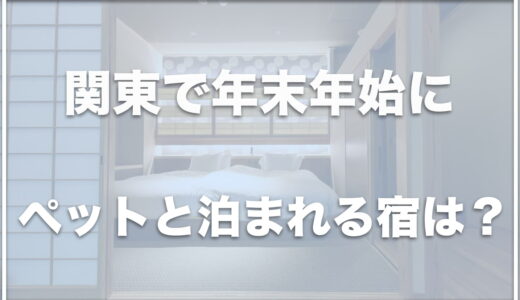 年末年始にペットと泊まれる宿は関東ではココ！千葉や群馬・神奈川で泊まれる場所を紹介！