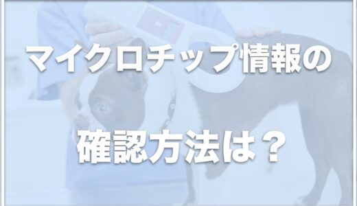 犬のマイクロチップは触るとわかる？死亡した場合はどうする？どこに入ってるかも紹介！