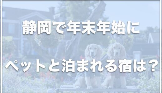 年末年始にペットと泊まれる宿は静岡・伊豆ではどこ？部屋食を楽しめる宿も紹介！