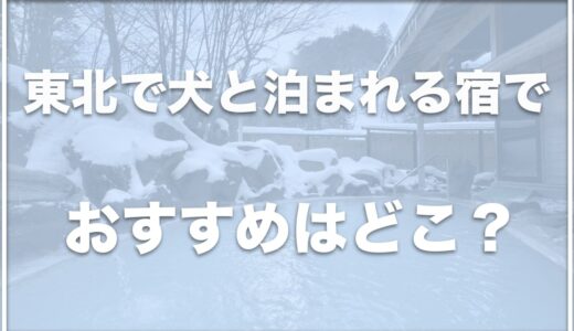 東北で犬と泊まれる宿・温泉を楽しめる場所はココ！部屋食を食べれる宿も紹介！