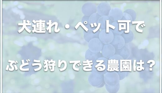 山梨でぶどう狩りを犬連れで楽しめる場所はココ！シャインマスカット狩りをペット可で楽しめる場所も紹介！