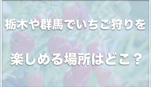 犬と行けるいちご狩りは栃木・群馬ならココ！ドッグランやカフェがある場所も紹介！