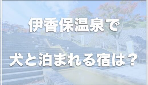 伊香保温泉で犬と泊まれる宿は？ペット可・ドッグランのある宿も紹介！