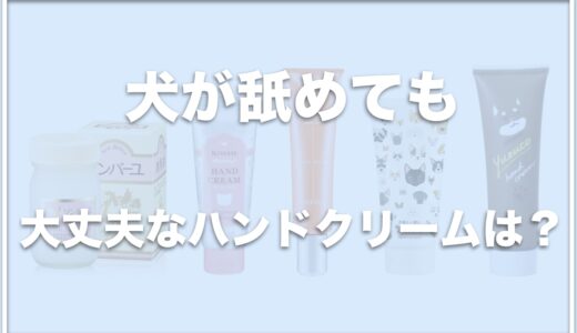 犬が舐めても大丈夫なハンドクリームは何？ドラッグストアで売ってるものや保湿力のあるクリームを紹介！