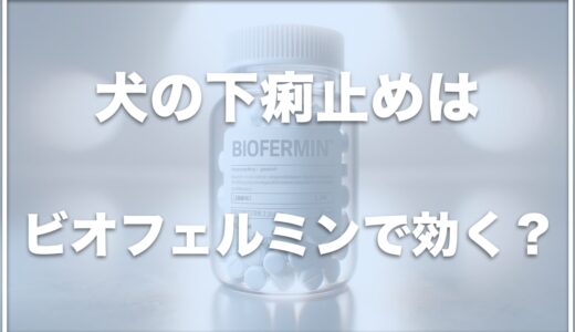 犬の下痢止めはビオフェルミンで効く？犬用ビオフェルミンがどこで売ってるかも調査！