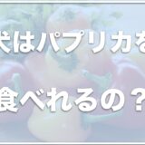 犬はパプリカを食べれる？生で食べていいのか腎臓病でもパプリカを食べれるのか調査！