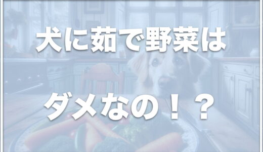 犬に茹で野菜はダメなの！？野菜を毎日食べさせていいか・犬に野菜は必要かも紹介！