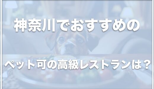 ペット可の高級レストランは神奈川ではココ！店内OKのお店も紹介！