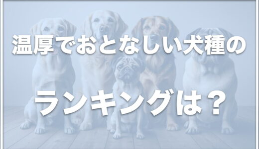 温厚な犬ランキングは？穏やかな犬種は小型犬なら何？性格のいい犬の特徴も紹介！