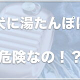 湯たんぽは犬に危険！？代わりにペットボトルは使える？100均にあるかどうかも調査！