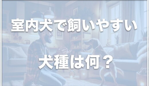 室内犬で飼いやすい犬種ランキングはこちら！一人暮らしでも飼いやすい犬ランキングも紹介！