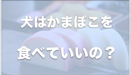 犬はかまぼこを食べていい？チーカマを食べていいか・かまぼこ板をかじらせていいかも調査！