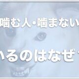 犬が噛む人と噛まない人が家族で違うのはなぜ？甘噛みする人としない人の違いも紹介！