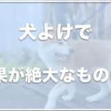 犬よけで効果絶大なものは？犬の嫌いな匂いはダイソーに売ってる？犬が寄り付かない臭いはコレ！