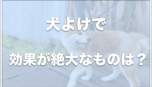 犬よけで効果絶大なものは？犬の嫌いな匂いはダイソーに売ってる？犬が寄り付かない臭いはコレ！