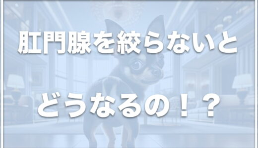 犬の校門線は勝手に出ることも？校門絞りしないとどうなる？どんな匂いなのか毎日出ることもあるのか調査！