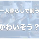 犬を一人暮らしで飼うのはかわいそう？ペットはやばい？犬を飼って後悔している人の意見も調査！