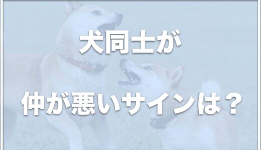 犬同士が仲悪いサインは何？仲良くさせる方法や口を噛み合う場合は喧嘩なのかも紹介！