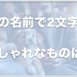 犬の名前でおしゃれかつ2文字の名前は？珍しい二文字の名前も紹介！