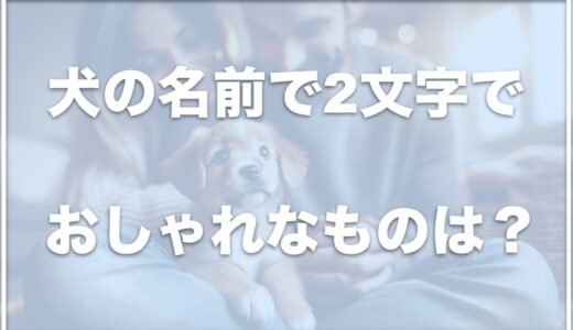 犬の名前でおしゃれかつ2文字の名前は？珍しい二文字の名前も紹介！