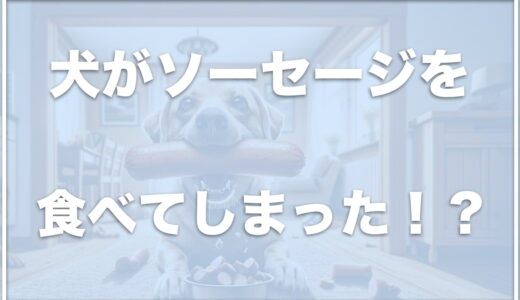 犬がソーセージを食べてしまったけど大丈夫？死亡することはあるの？食べた時の対処法も紹介！