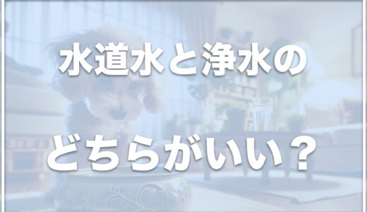 犬は水道水と浄水のどちらがいい？浄水器はダメというのは嘘？カルキ抜きの煮沸はいらないかも紹介！