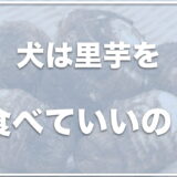 犬は里芋を食べれる？生で食べてしまったけど大丈夫？レシピや腎臓病でも食べていいか調査！