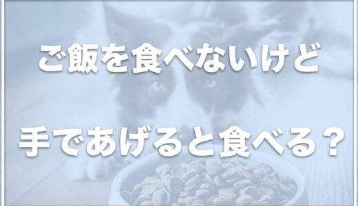 犬がご飯を食べないけど手であげると食べる！元気があるならわがままの可能性も？