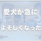 犬が急によそよそしくなったのはなぜ？距離をとられる理由を紹介！