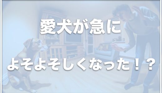 犬が急によそよそしくなったのはなぜ？距離をとられる理由を紹介！