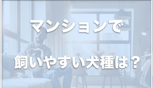 マンションで犬を飼う場合に飼いやすい犬種は何？犬の鳴き声がどこまで聞こえるかも紹介！