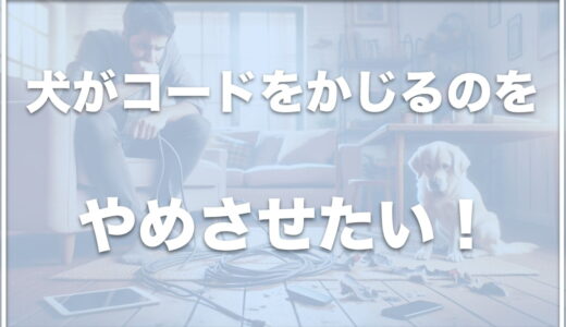 犬がコードをかじるのを防止したい！100均商品ならこれがおすすめ！