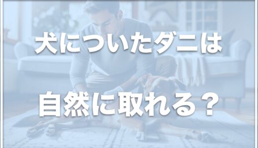 犬についたダニは自然に取れる？犬にダニがつかない方法や見つけたらどう対処するか紹介！