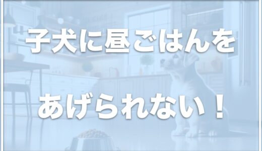 子犬に昼ごはんをあげられない場合の対処法は？ご飯の時間がバラバラはNGか調査！