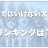 飼ってはいけない犬ランキング15選はこちら！犬種の特徴や飼ってはいけないと言われる理由を紹介！