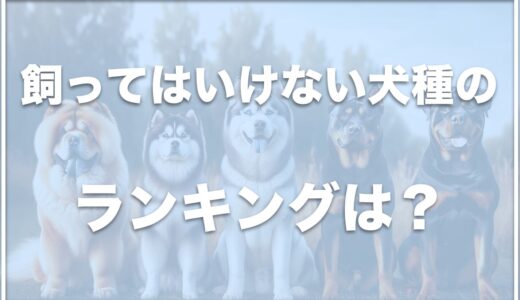 飼ってはいけない犬ランキング15選はこちら！犬種の特徴や飼ってはいけないと言われる理由を紹介！